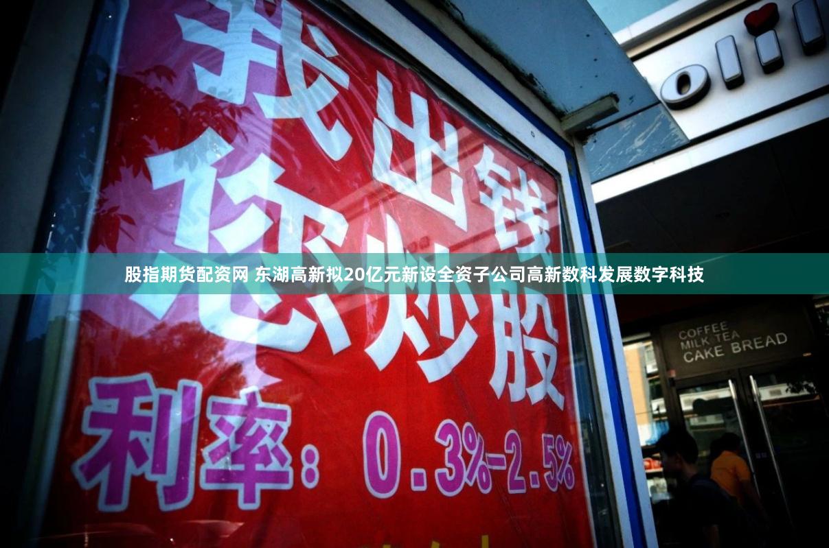 股指期貨配資網(wǎng) 東湖高新擬20億元新設全資子公司高新數(shù)科發(fā)展數(shù)字科技